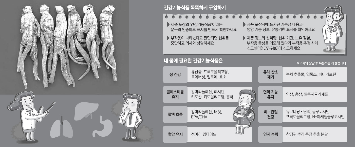 열 많은 당신, 인삼 대신 홍삼은 괜찮다… 정말? | 서울신문