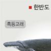 [‘바다의 로또’ 고래] 35종 서식… 밍크·돌고래 많아