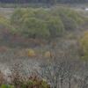 거센 개발바람 DMZ일대 ‘생태 보고’ 위협