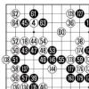 [제18기 비씨카드배 신인왕전-16강전 8국] LG배 8강전-한국4,중국2,일본2