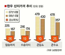 ‘쇠고기 불신’ 한우 불똥