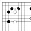 [제10기 맥심커피배 입신최강전 본선1회전 1국]충칭팀,2008 중국바둑갑조리그 우승