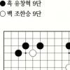 제10기 맥심커피배 입신최강전 - 본선1회전 1국]실리를 중시하는 현대바둑