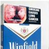 호주 “이래도 담배 피울거요?”