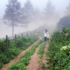 하산길 서두르지 마세요 느릿느릿 내려와야 야생화 친구들 사귄답니다