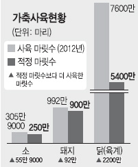 돼지·소·닭고기 값 모두 폭락세… 비상구 없는 축산정책