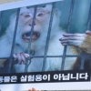 ‘잔혹’이냐 ‘자랑’이냐… 亞 최대 동물실험센터 논란