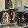 [포토] 대설주의보 지역, 시민들 ‘너도나도 우산 쓰고’