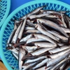 [김준의 바다 맛 기행] 멸치도 생선!… 부산 기장 ‘대멸’