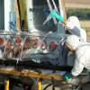 WHO 에볼라藥 ‘지맵’ 사용허가…스페인 신부는 투약중 숨져