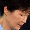 ‘교각살우’ 범하나…박근혜 대통령 한마디에 사이버 허위사실 전달자까지 처벌