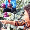 “니하오!” 학생들 화상 멘토링 교육…비닐하우스 원격 조종 농가도 활기