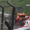 F1드라이버 비앙키, 일본대회 사고 영상 보니 ‘충격