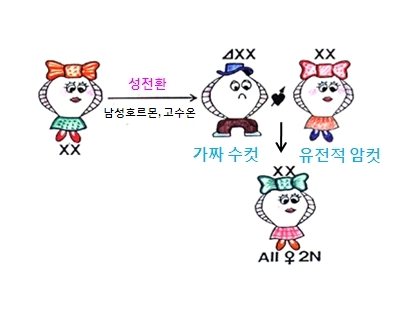 국민 횟감 넙치, 암컷만 생산하는 기술 ‘세계 최초 개발’ 교배는 어떻게?