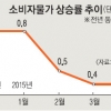 [한국호 잔인한 4월] 소비자물가 0.4%↑… 5개월째 ‘0%대’