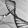 질병 DNA ‘싹둑’… 유전병 막을 藥인가, 차별 낳을 毒인가