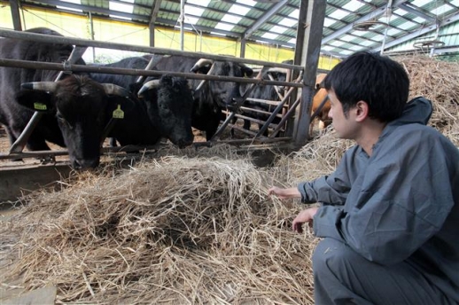 美·호주고기 저가 공세에 기죽은 한우, 명품화로 ‘음메~ 기살아’