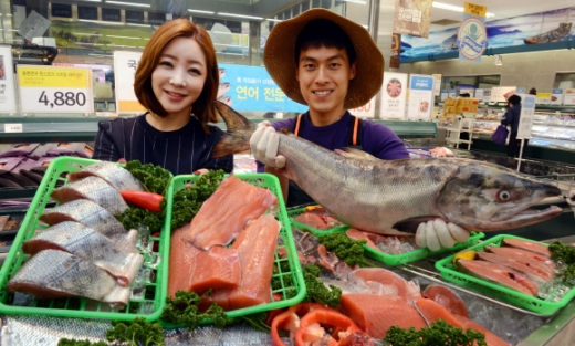 국내 자연산 연어가 수입산의 반값