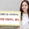 [2015 하반기 히트상품] KB국민카드 ‘KB국민 다담카드’