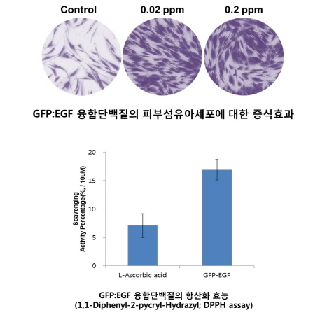 ㈜넥스젠바이오텍, 새로운 이종 생물간 융합단백질 개발 성공…국제 화장품 원료집에 등재