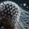 정밀한 뇌지도는 ‘알파고 진화’의 설계도