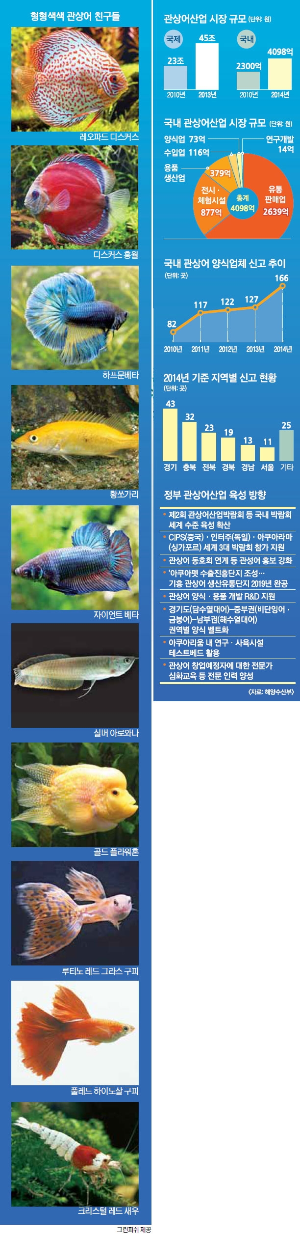 10억짜리 몸값 50만 동호회원…魚! 판이 커진다