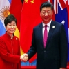 G20 정상회의…朴대통령, 中 시진핑과 사드 발표 이후 첫 정상회담