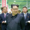 최순실 국정개입 의혹에…북한 “박근혜 대통령과 내각, 총사퇴하라”