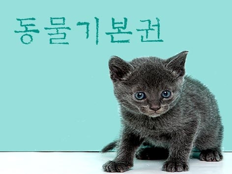 [씨줄날줄] 반려동물과 대선/황성기 논설위원