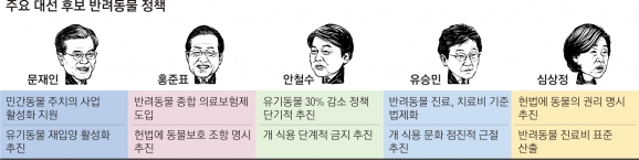 [대선이슈 집중분석] ‘반려동물 인구’ 1000만명 정책은 봇물… 내용은 ‘미흡’