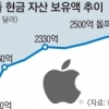 보유현금 285조원의 93% 해외에 둔 애플의 속사정은