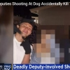 美 경찰관이 개를 향해 쏜 총에 10대 소년 사망…무슨 일?