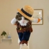 [팝영상] ‘내가 바로 슈퍼모델’ 워킹하는 고양이