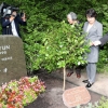 김정숙 여사가 독일 ‘윤이상 묘소’에 동백나무 품고 간 사연