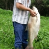 대청호서 잡힌 거대 물고기 정체는...길이 1.1m, 무게 30kg