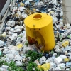 ‘양심 불량’ 3.5t 쓰레기 무단투기…과태료는 10만원?