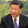 시진핑, 김정은에 답전 “새 관계발전 기대”… 北·中에도 훈풍?