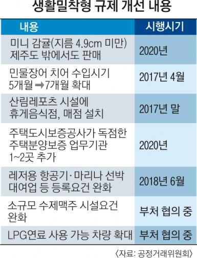 싸고 맛있는 ‘미니 감귤’ 제주 밖에서도 판다