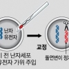 인간 배아서 ‘유전자 가위’로 돌연사 DNA 잘라냈다