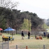 동물장묘시설·놀이터… 경기 지자체는 ‘전쟁중’