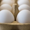 살충제 계란 후폭풍…정부, 농가 대상 ‘뒷북 교육’ 나서