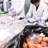 [서울포토] 수거 달걀 살충제 검사하는 연구원들