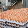 충남 천안, 전남 나주, 전북 순창서도 살충제 계란…전국 7곳으로 늘어