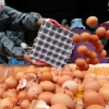 살충제 달걀 파문…“09지현·08신선농장·11시온·13정화 계란도 먹지 마세요”