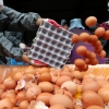 살충제 계란 파문…농식품부, 공장식 축산 규제 안하나 못하나