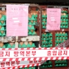 충남 아산 산란계 농장 계란서 살충제 ‘플루페녹수론’ 검출