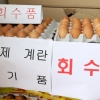 보완검사서 ‘살충제 계란’ 3개 농장 추가 확인
