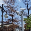 ‘문콕’ 잡는 강동 CCTV