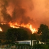 미 캘리포니아 산불 사망자 31명으로 늘어