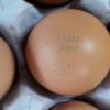 살충제 계란 또 발견…‘맑은 계란’(08 계림) 유통기한 9월 28일 제품